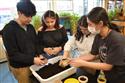 MHS_Environmental_Club_(Sunflowers)_3-12